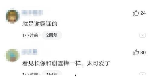 谢霆锋张柏芝婚礼照片,甜蜜瞬间定格永恒